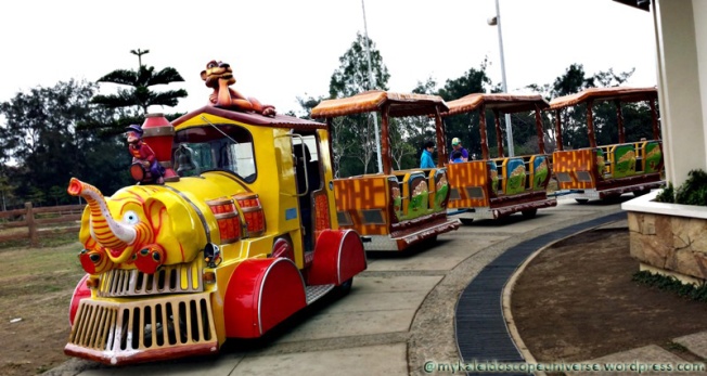 Here comes the kiddie train!!!